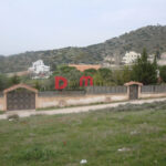 DIMMETAL · full 26d681f1 efa2